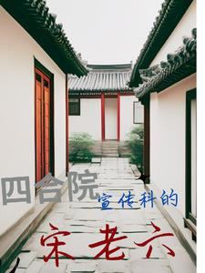 四合院我的媳妇是公安四合院我的媳妇是公安